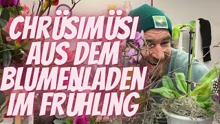 Chrüsimüsi aus dem Blumenladen  Viele verschidenen Ideen für den Frühling Live aus dem Blumenladen [upl. by Sears]