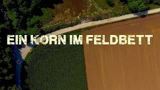 Andre Lederer  Ein Korn im Feldbett Freetrack [upl. by Llecrup]