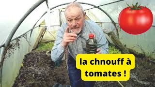 La chnouffquotquotquotquot a tomates  Booster vos pieds de tomates [upl. by Alfred]