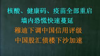 核酸、健康码、疫苗全部重启，墙内恐慌快速蔓延！穆迪下调中国信用评级 ，中国股汇债楼下杀加速20231205第1122期 [upl. by Grados]