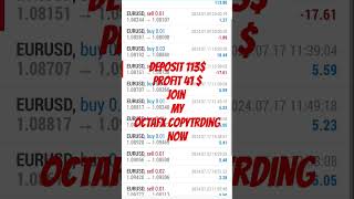 octafx copy trading octafx copytrading forex forextrading ea algotradingsoftware trading [upl. by Blondie718]