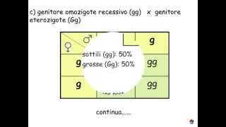 Genetica 66 esercizi [upl. by Llewkcor621]