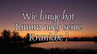 Linums Kraniche wie lange noch [upl. by Imij]