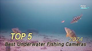 TOP 5 Best Underwater Fishing Cameras 2024 [upl. by Krystin]