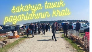 Sakarya canlı tavuk 🐔 pazarı part 3 17032024 [upl. by Adnih]