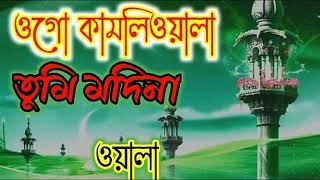 ogo kamliwala tumi madinawala ওগো কামলিওয়ালা তুমি মাদিনা ওয়ালা [upl. by Eastlake]