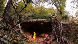 Bushcraft Shelter UNDER FALLEN TREE  Solo Survival Camping Outdoor Cooking Documentary DIY ASMR [upl. by Kannry361]