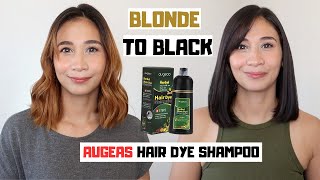 DIY BLONDE TO BLACK HAIR AT HOME  Augeas Herbal Hair Dye Shampoo Review  Lolly Isabel [upl. by Ettennat]