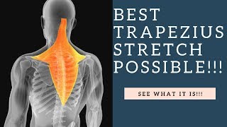 BEST Trapezius Muscle Stretch For Neck Pain Relief Using The PNF Technique [upl. by Lindblad821]