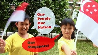 METTA INSPIRATION  One People One Nation One Singapore [upl. by Anelegna]