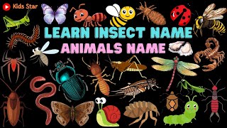 BELAJAR NAMA SERANGGA DALAM BAHASA INGGRIS  NAMES OF INSECT LEARN ANIMALS NAMA BINATANG NAMA HEWAN [upl. by Annait854]