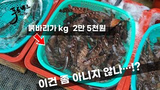 통영활어시장 붉바리가 kg 2만 5천원 이건 좀 아닌듯  중앙시장과 활어시장 가격차이는 [upl. by Ehttam]