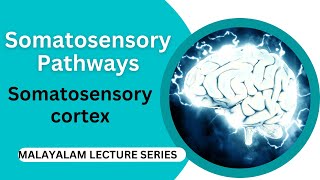 Somatosensory Pathways ampSomatosensory cortex [upl. by Adnamal]