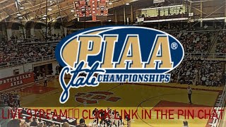 Forest Hills vs Deer Lakes  2024 PIAA 3A Boys Basketball Championships [upl. by Lynnea]