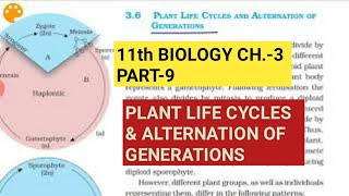 Class 11 BiologyCh3 Part9Plant life cycles amp Alternation of generationsStudy with Farru [upl. by Anileuqcaj]