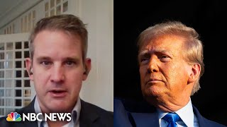 No one will admit to supporting Trump in 510 years Kinzinger says [upl. by Purdum]