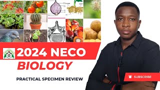 Biology practical NECO 2024 necopractical necostudents [upl. by Granniah]