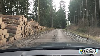 JÄNNERRALLYE 2023  Stage 1214 RUBBLE MASTER Sandl  St Oswald [upl. by Nosaes]