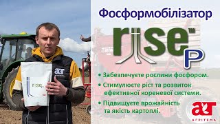 РайсПі  фосформобілізатор для підвищення врожайності та якості картоплі [upl. by Cornela]