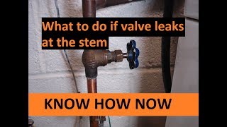 Fix Shut Off Valve Leaking at Stem [upl. by Odrude]