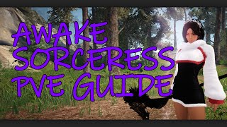 BDO  Awake Sorceress PVE Guide [upl. by Eveivaneg]