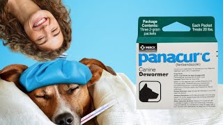 Could Your Dog Have Worms Panacur C Can Fix That Made in the USA [upl. by Jet]