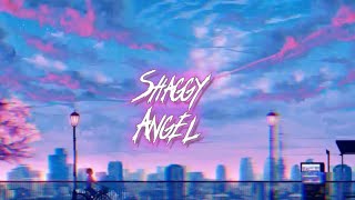 Shaggy  Angel Lyric Video Life is one big party when your young [upl. by Whitten411]