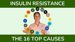 Insulin Resistance Top Causes amp Contributing Factors [upl. by Enelloc]