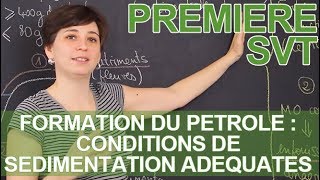 La formation du pétrole  conditions de sédimentation adéquates  SVT  1ère  Les Bons Profs [upl. by Martinez]