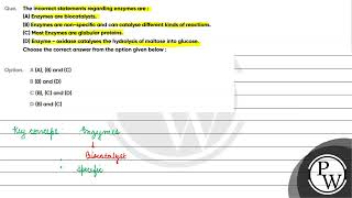 The incorrect statements regarding enzymes are A Enzymes are biocatalystsB Enzymes are non [upl. by Phina]