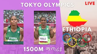 Ethiopia  ኢትዮጲያ ሴቶች 1500 ሜትር ማጣሪያ  womens 1500m semifinal Tokyo Olympics 2021 live [upl. by Alene]