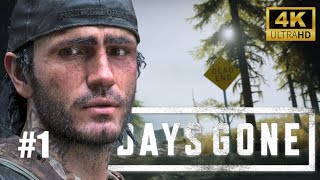 Days Gone PC Gameplay 4K  Better Than Ever 🎮 [upl. by Asirac]