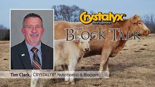 The Block Talk  CRYSTALYX Calf Marketing Decisions Tim Clark [upl. by Balac]