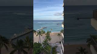 ハワイ旅行 ハワイ ハワイ旅 ワイキキ アロハヒルトンハワイアンビレッジHiltonHawaiianVillageAli’iTower [upl. by Inaj]