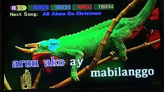 Pasko Sa Usa Ka Binilanggo  Visayas Christmas Song Karaoke [upl. by Balas]