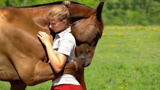 These Animals Reunited With Owners After Years [upl. by Rajewski]