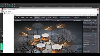 Superior Drummer 3 Brown Royal Progressive Foundry SDX Free Preset Download [upl. by Annecorinne]