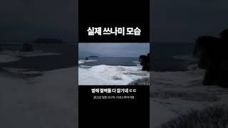 실제 쓰나미의 모습 2배속 [upl. by Cinimmod]