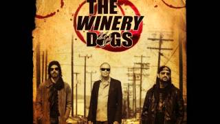 The Winery Dogs  Damaged [upl. by Shirlee]