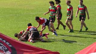 B Grade Bears v Rabbitohs 2nd Half [upl. by Naujd]