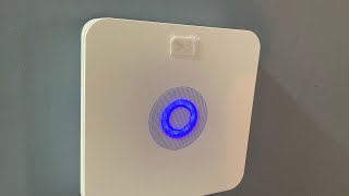 Ring system test 6 crazy loud Amazon Alexa’s [upl. by Arihay]