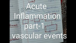 General pathology lecture7Acute inflammation part 1 [upl. by Aleiram]