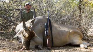 Hunting Eland on Safari [upl. by Asseralc233]