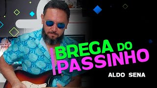 Brega do Passinho Aldo Sena  Cover por Bimartins [upl. by Teyut]