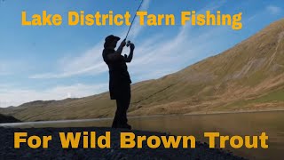 Lake District fishing for wild Brown Trout [upl. by Yesdnik]