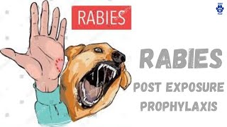 Rabies Post Exposure Protocol [upl. by Kila]