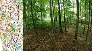 WMOC Middle Finals  Orienteering Headcam video [upl. by Rendrag]