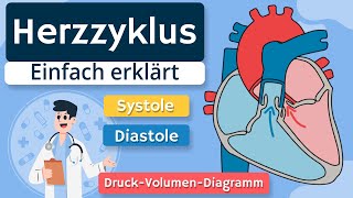 Herzzyklus  Systole Diastole und DruckVolumenDiagramm einfach erklärt [upl. by Busiek]