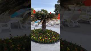 Club Boran More Beach hotel 5 Кемер Гейнюк территорияturkishhotel kemerhotel [upl. by Ylloj]