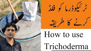 How to use Trichoderma in your field  Dr Jamil Shafi  Plant Clinics [upl. by Esaertal]